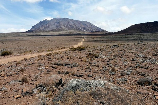 5 Days Marangu Route Kilimanjaro Trekking - Trekking Itinerary Overview