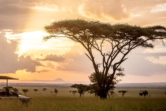5 Days Northern Tanzania Budget Group Joining Safari - Accommodation Details