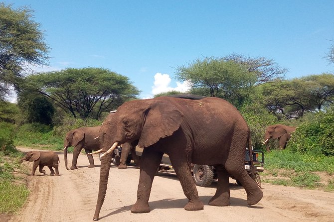 5 Days Safari From Dar Es Salaam to Tarangire NP, Manyara NP & Ngorongoro Crater - Accommodation Details