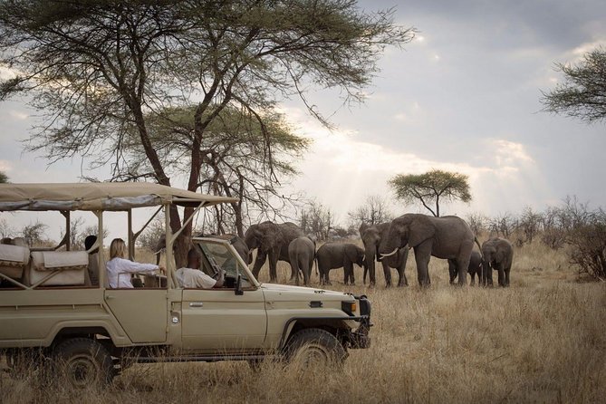 5 Days Safari In Serengeti And Ngorongoro