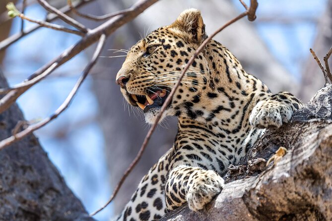 5 Days Safari Tarangire, Serengeti, and Ngorongoro Crater - Safari Itinerary Overview