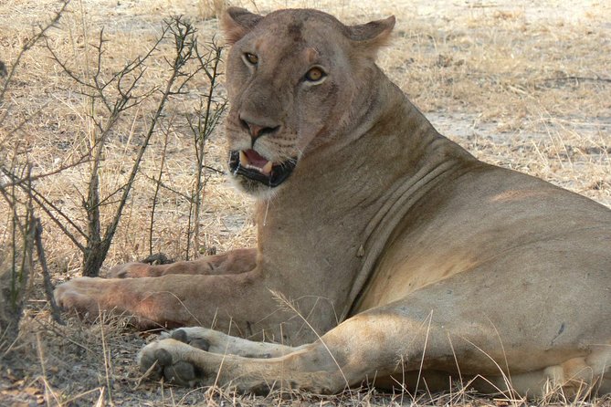 5 Days Safari to Selous & Mikumi - Safari Itinerary Overview