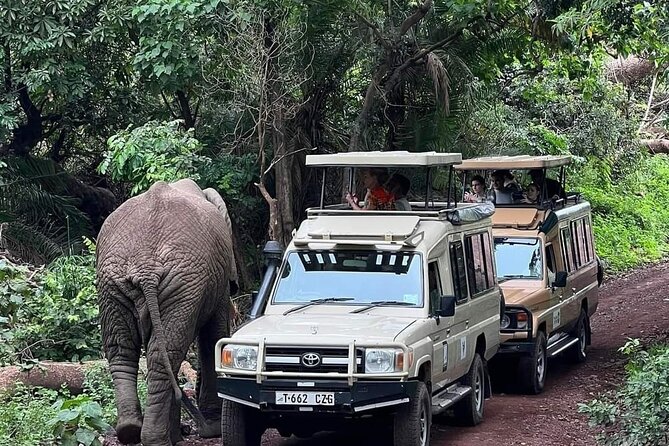 5 Days Tarangire, Serengeti and Ngorongoro Crater - Itinerary Overview