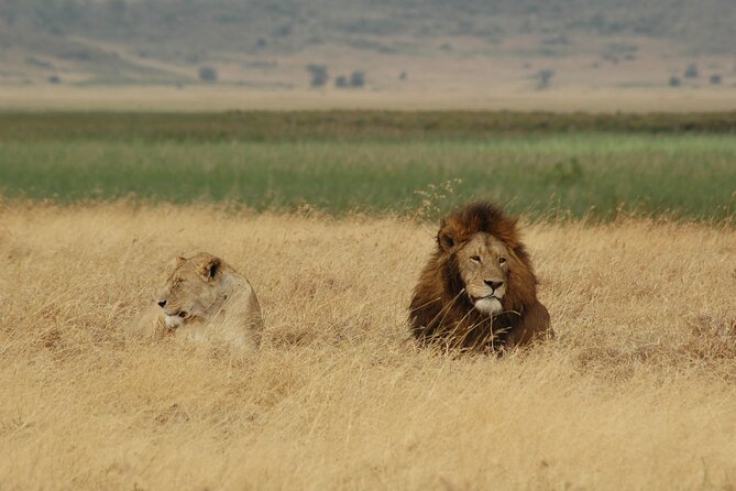 5 Days Tour Tarangire, Serengeti, Ngorongoro Crater & Lake Manyara Park-Midrange - Itinerary Overview