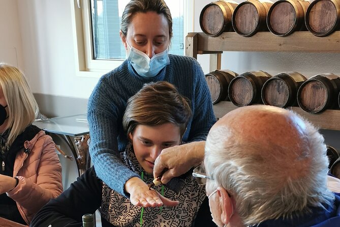 5-Hour Food and Wine Tasting in Modena - Activity Overview