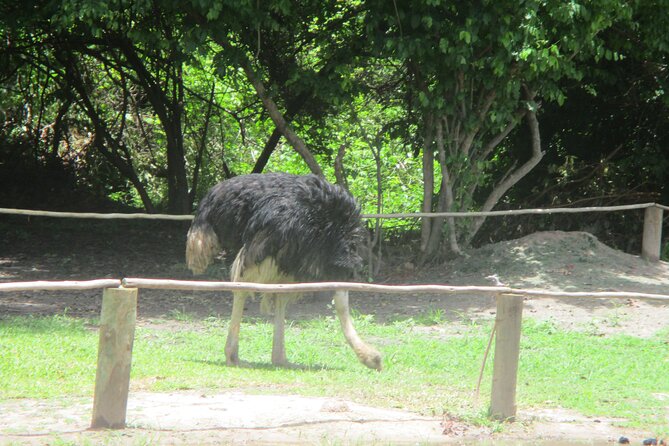 5 Hours of Private Safari at the Bandia Reserve - Pickup Arrangements