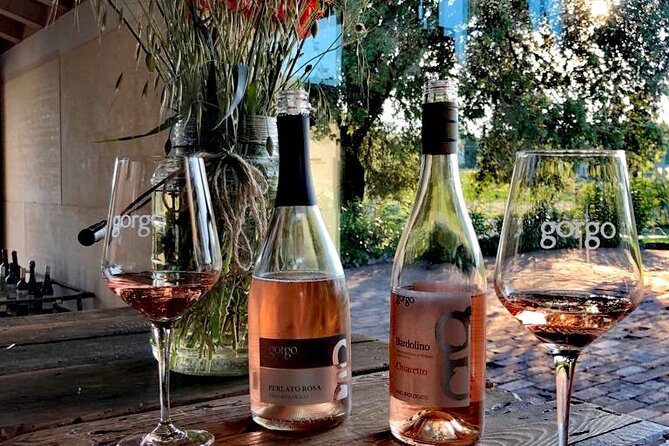 5 Wines Tasting on Custoza Hills With Vineyard Visit - Meeting Point
