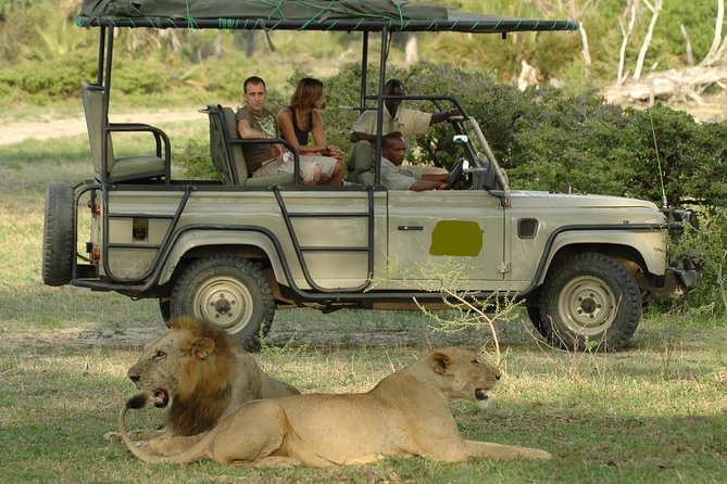 5Days Tanzania Camping Safari to Lake Manyara Serengeti and Ngorongoro Crater From Arusha - Tour Itinerary