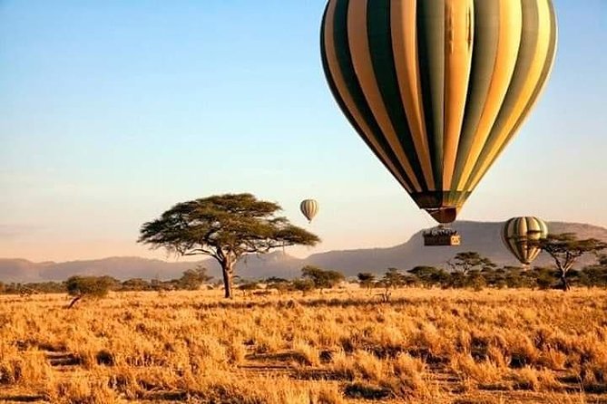 5days Tarangire,Serengeti,Ngorongoro Crater and Lake Manyara National Park - Tour Itinerary
