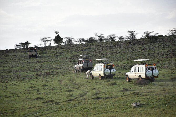 6-Day Experience the Wild Masai Mara Reserve - Reviews
