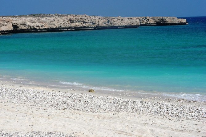 6-Day Latifa Package Tour - Tour Highlights