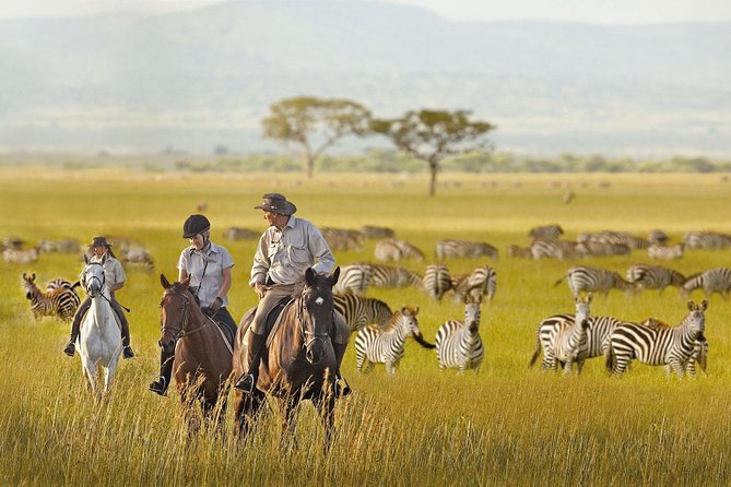 6 Day Luxury Safari Serengeti,Ngorongoro,Manyara,Tarangire,Arusha National Park