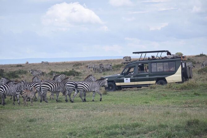6 Day Nairobi-Amboseli-Maasai Mara Private Semi Luxury Tour - Itinerary Overview