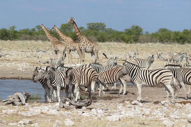 6 Day Private Guided Accommodated Namibian Loop - Itinerary Overview