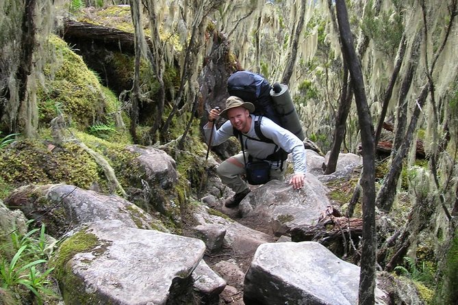 6-Day Private Guided Hiking Tour to Kilimanjaro Umbwe Route