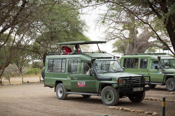 6-Day Safari in Tanzanias Northern Parks - Itinerary Highlights