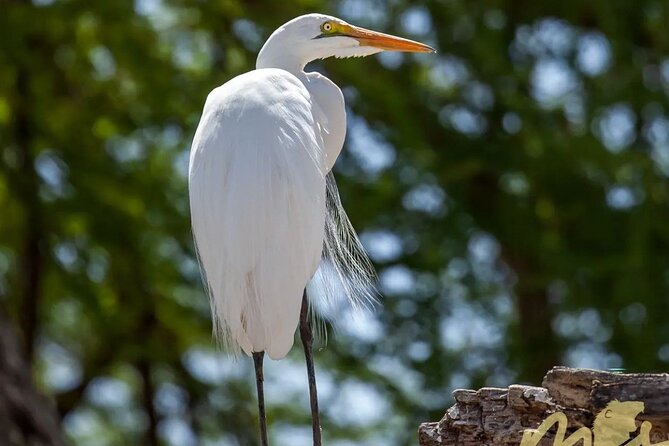 6 Days 5 Night Safari - Safari Duration and Location