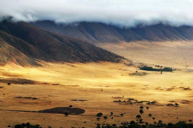 6 Days 5 Nights Lodge Safari Tarangire, Manyara, Serengeti & Ngorongoro Crater