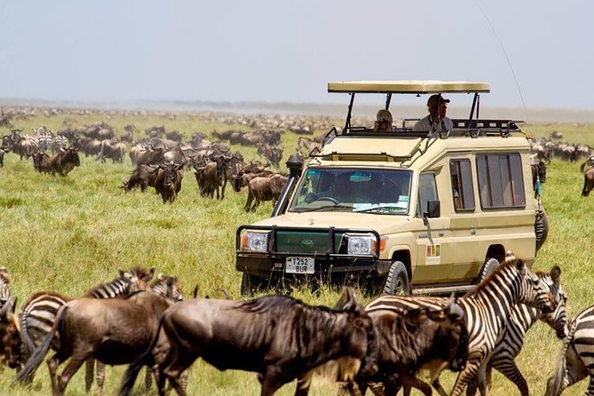 6 Days Budget Tanzania Camping Safari - Safari Itinerary Highlights