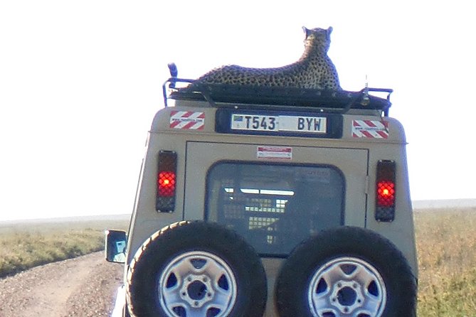 6 Days Camping Tours Lake Manyara, Ngorongoro,Serengeti National Park - Itinerary Overview