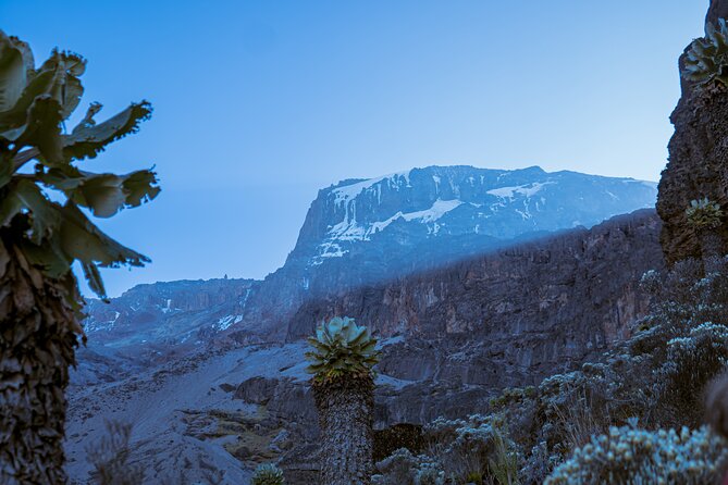 6 Days Climb Private Tour in Mount Kilimanjaro