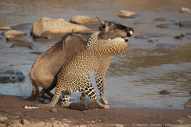 6 Days Kenya Adventure Wildlife Safari - Important Information