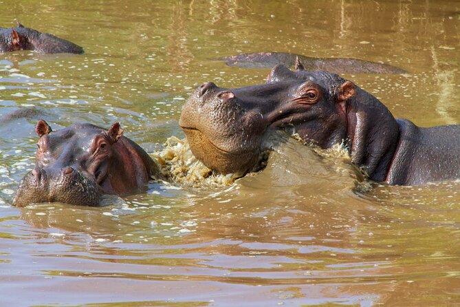 6 Days Lodge & Tented Camp Luxury - The Serengeti Trail & Tarangire - Tour Highlights