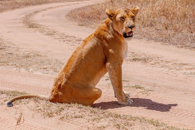 6 Days Luxury Northern Circuit Safari - A Glimpse of Tanzania Adventure - Safari Itinerary Overview