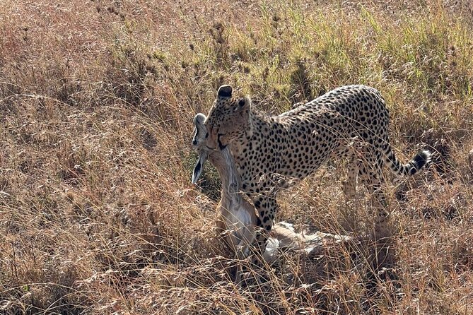 6 Days Private Tanzania Safari Tour