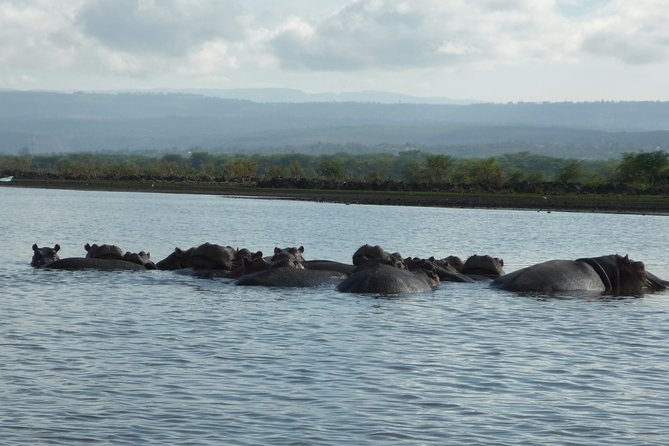 6 Days Safari to Meru N/P, Lake Naivasha, Maasai Mara N/R - Mid Range. - Accommodation Details