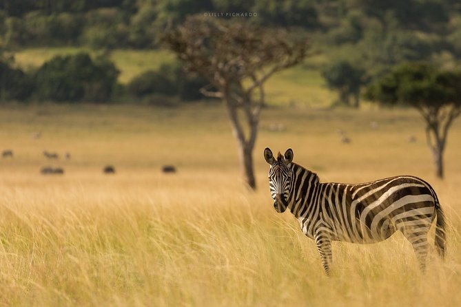 6 Days Safaris to Amboseli N/P, Lake Naivasha and Maasai Mara N/R. - Accommodation Details