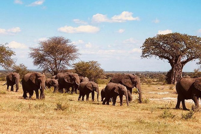 6 Days Tanzania Game Drive Camping Safari - Safari Itinerary Overview