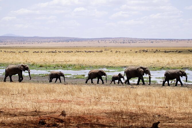 6 Days the Best of Tanzania Private Safari - Accommodation Details