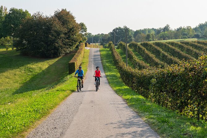 6-Hours Private Guided Tour of Prosecco by Bike - Duration