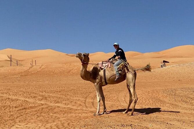 7-8 Hours Private Desert Adventure Trip With Activities - Itinerary Highlights