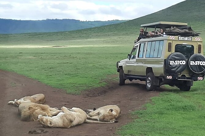 7-Day Great Migration Safari - Accommodation Details