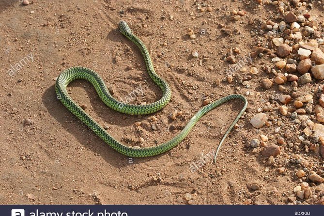 7 Day Joined Safari Serengeti,Ngorongoro,Manyara,Tarangire,Arusha National Park - Safari Itinerary Overview