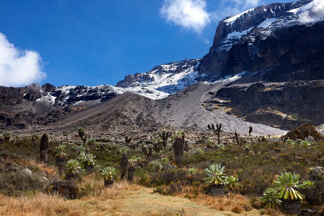 7-Day Private Kilimanjaro Hiking Tour via Machame From Arusha - Itinerary Highlights
