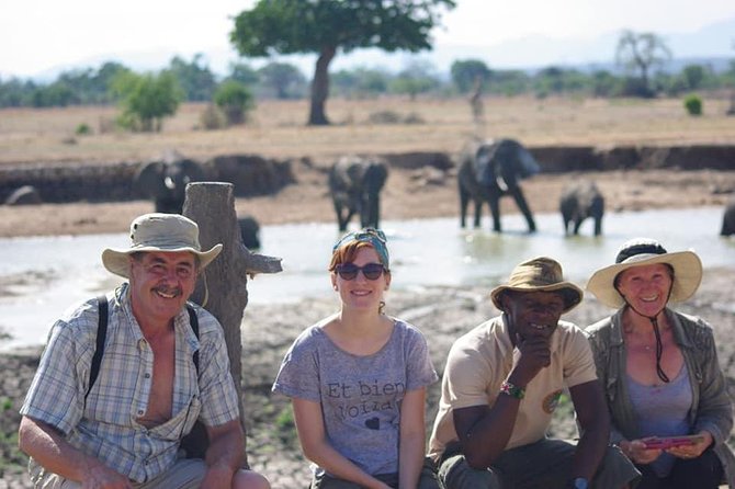 7 Day Safari to Selous, Mikumi and Ruaha National Parks + Transfers - Itinerary Overview