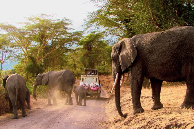 7 Days Best of Kenya Wildlife Safari - Wildlife Viewing in Maasai Mara