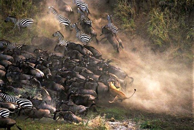 7 Days Best of Tanzania Lodge Safari