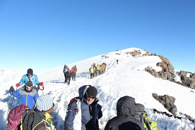 7 Days Climb Mt Kilimanjaro Through Machame Route Price per Day per Pax - Overview of 7-Day Climb