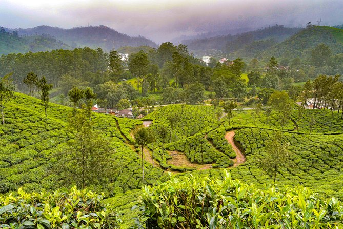7 Days Kerala Tour- Munnar, Periyar, Houseboat & Varkala Beach - Houseboat Experience on Backwaters