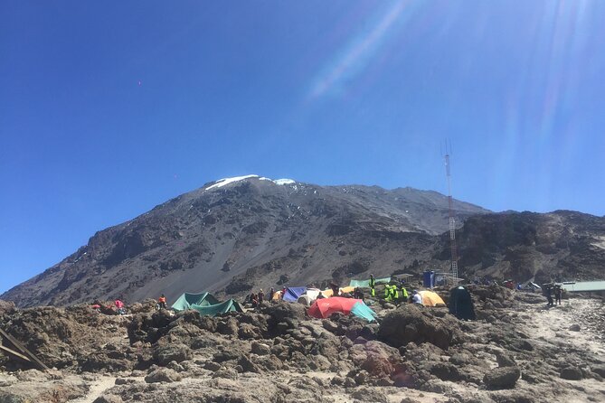 7 Days Kilimanjaro Climb Machame Route - Day 1: Arrival in Arusha