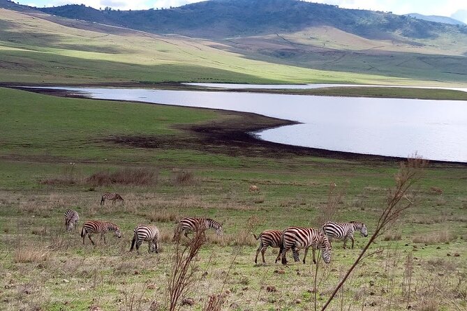 7 Days Mt Kilimanjaro,Tarangire NP, Ngorongoro, Serengeti NP, Lake Manyara NP - Itinerary Overview