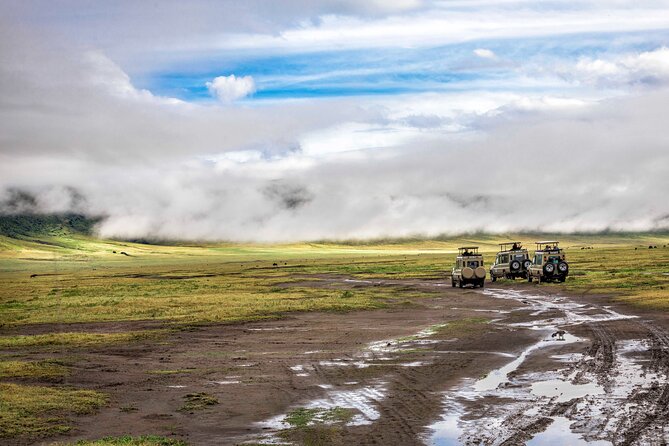 7-Days Private Budget Safari: Tarangire, Serengeti & Ngorongoro
