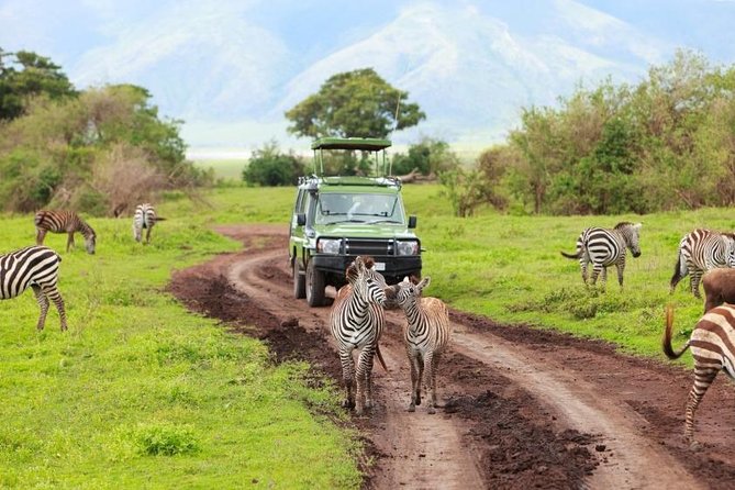 7-Days Private Midrange Safari; Serengeti & Ngorongoro Crater - Inclusions