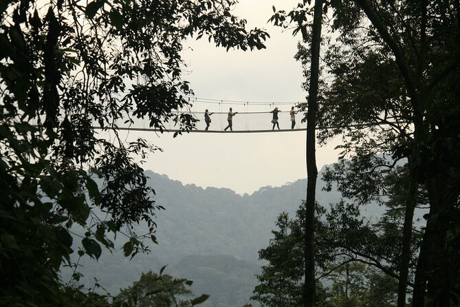 7 Days Private Tour of Rwanda - Meal Plan Details