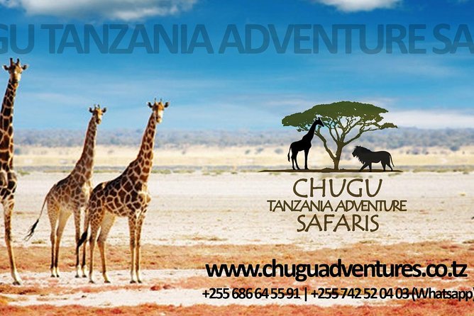 7 Days- Southern Tanzania Camping Safari Experience