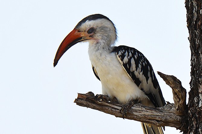 7 Days Tanzania Private Safari - Accommodation Details